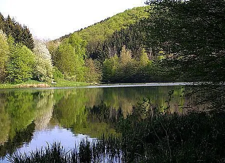 아파트 Ferienwohnungen-willrich-ferienwohnung-1 *